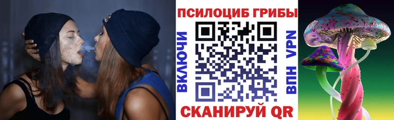 omg ТОР  Нерчинск  Галлюциногенные грибы прущие грибы 